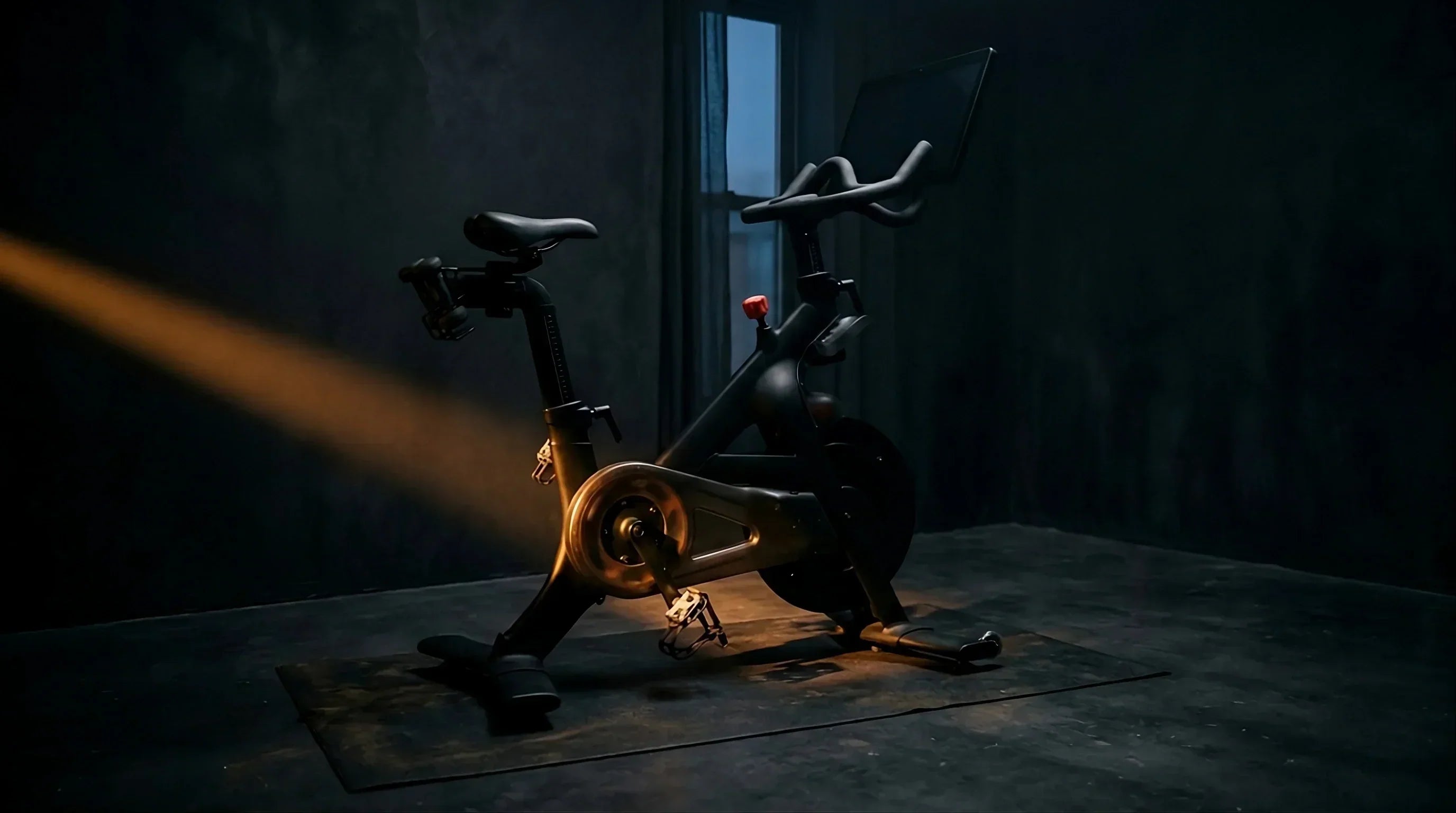 You Don't Need a Gym Loomi