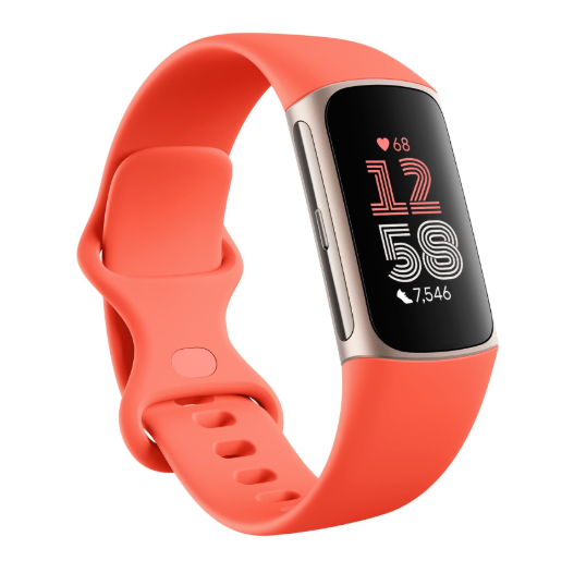 Loomi Biometric-Sync™ Smart Health Watch Loomi | The Sanctuary