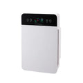 Loomi Aura-Shield™ Negative Ion Air Purifier Loomi | The Sanctuary